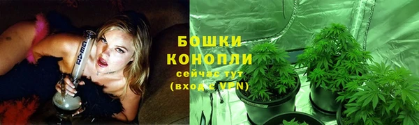 эйфоретик Богданович