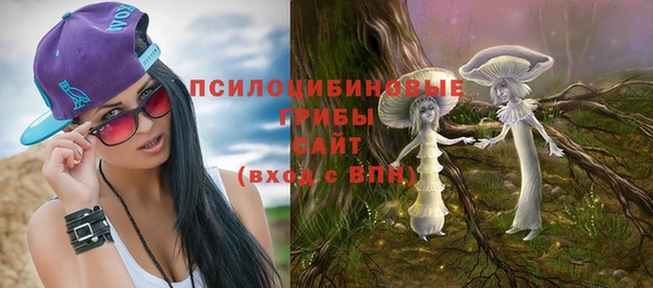 эйфоретик Богданович