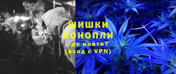 эйфоретик Богданович