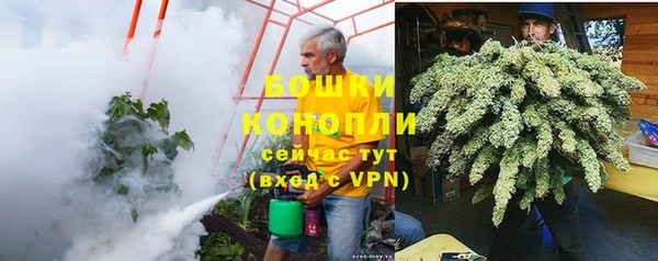 mdpv Богородицк
