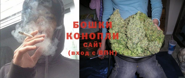 эйфоретик Богданович